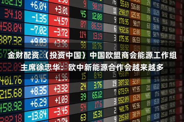 金财配资 （投资中国）中国欧盟商会能源工作组主席徐忠华：欧中新能源合作会越来越多