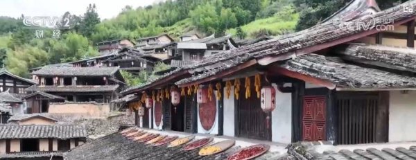 爱配投资 “晒秋”点燃节日氛围  沉浸式古村体验受热捧